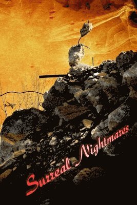 Sebastian Crow - Surreal Nightmares, Häftad. Tillgänglighet: Lägg i varukorg