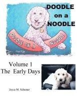 bokomslag Doodle on a Noodle: VOLUME 1 The Early Days