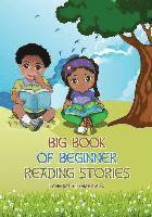bokomslag Big Book of Beginner Reading Stories