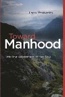 bokomslag Toward Manhood: Into the Wilderness of the Soul