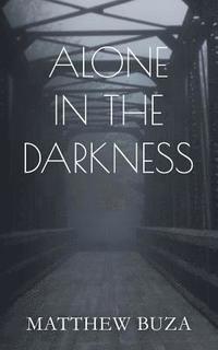 bokomslag Alone In The Darkness