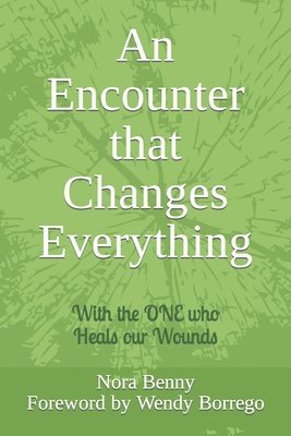 An Encounter that Changes Everything: With the ONE who Heals our Wounds, Häftad