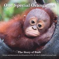 bokomslag One Special Orangutan: The Story of Budi