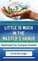 bokomslag Little is Much in the Master's Hands: Maximizing Your God-given Potential