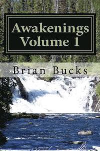bokomslag Awakenings: Volume 1