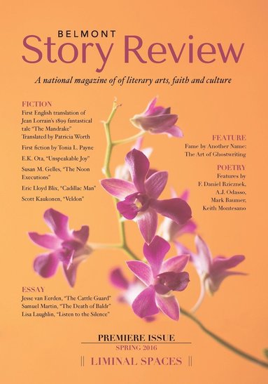 Richard Sowienski, Gary McDowell - Belmont Story Review, Häftad