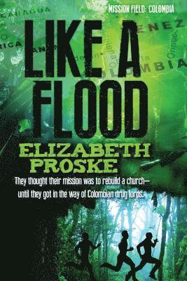 Elizabeth Proske - Like A Flood, Häftad