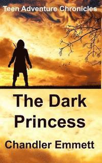 bokomslag The Dark Princess