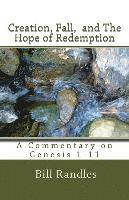 bokomslag Creation, Fall, And The Hope of Redemption: A Commentary on Genesis 1-11