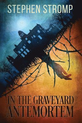Stephen Stromp - In the Graveyard Antemortem, Häftad