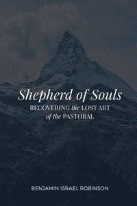 bokomslag Shepherd of Souls