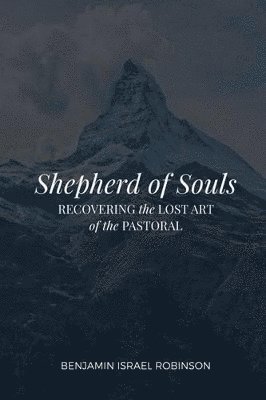 bokomslag Shepherd of Souls