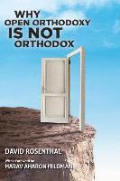 bokomslag Why Open Orthodoxy Is Not Orthodox