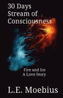 L. E. Moebius - 30 Days Stream of Consciousness: Fire and Ice: A Love Story, Häftad