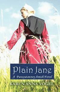 bokomslag Plain Jane: A Punxsutawney Amish Novel (Bronte Inspired)