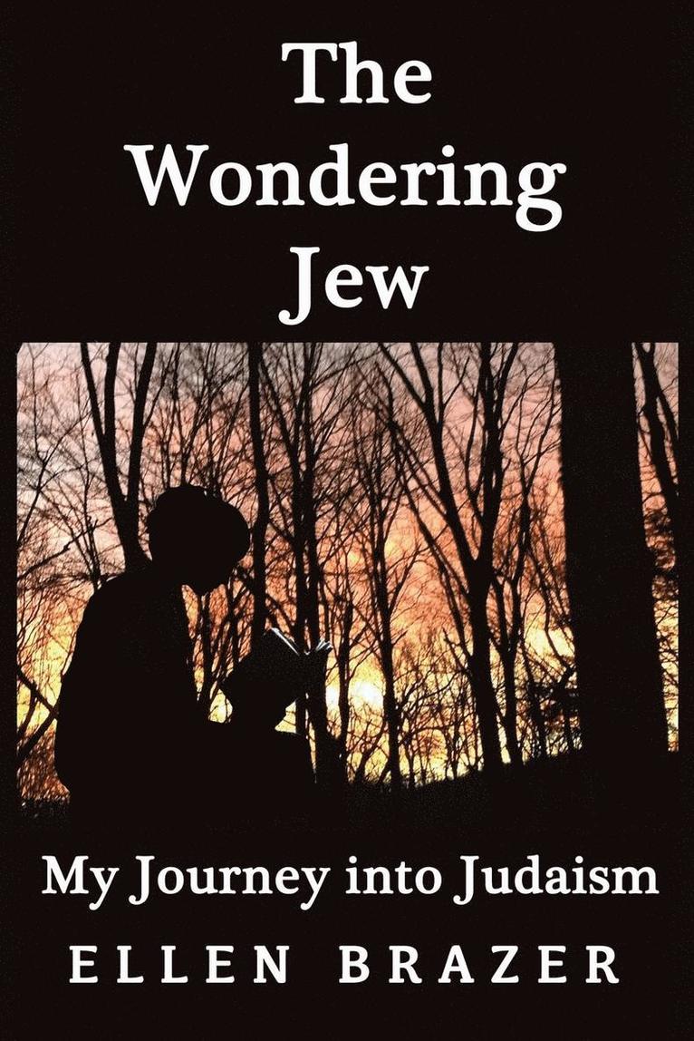 Ellen Brazer - Wondering Jew My Journey into Judaism, Häftad