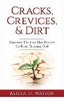 bokomslag Cracks, Crevices, and Dirt: Exposing the Lies That Prevent Us From Trusting God