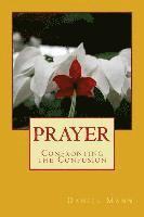 bokomslag Prayer: Confronting the Confusion