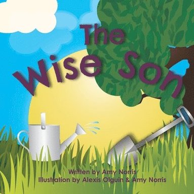 bokomslag The Wise Son