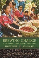 bokomslag Brewing Change