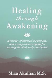 bokomslag Healing through Awakening