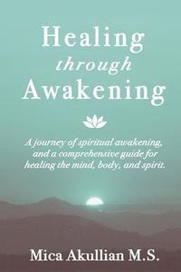 bokomslag Healing through Awakening