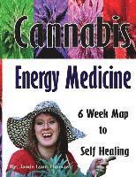 bokomslag Cannabis Energy Medicine: 6 Week Map to Self Healing