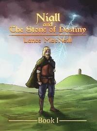 bokomslag Niall and the Stone of Destiny