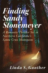 bokomslag Finding Sandy Stonemeyer: A Romantic Thriller Set in Northern California's Santa Cruz Mountains