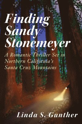 Finding Sandy Stonemeyer: A Romantic Thriller Set in Northern California's Santa Cruz Mountains 1