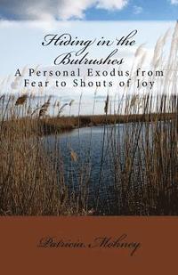 bokomslag Hiding in the Bulrushes: A Personal Exodus from Fear to Shouts of Joy