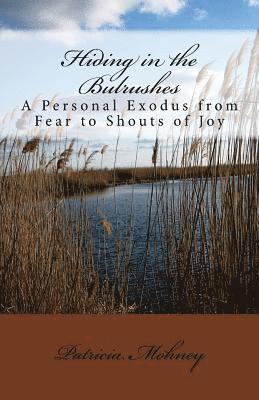 bokomslag Hiding in the Bulrushes: A Personal Exodus from Fear to Shouts of Joy