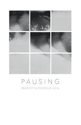 bokomslag Pausing: A book of reflections in Art and Poetry