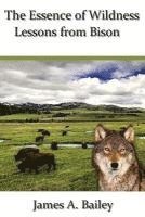 The Essence of Wildness: Lessons from Bison