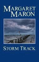 bokomslag Storm Track