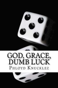 bokomslag God, Grace, Dumb Luck