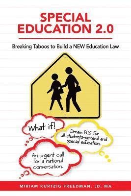 bokomslag Special Education 2.0: Breaking Taboos to Build a NEW Education Law