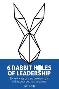 bokomslag 6 Rabbit Holes of Leadership: Six key ways you are unknowingly killing your business and career