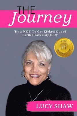 bokomslag The Journey: "How not to get kicked out of Earth University (EU)"