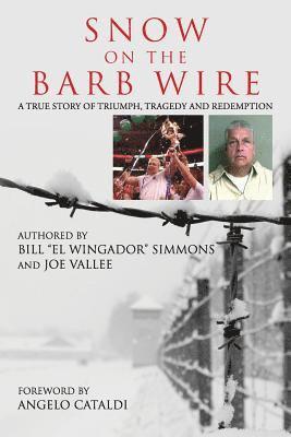 Snow On The Barb Wire 1