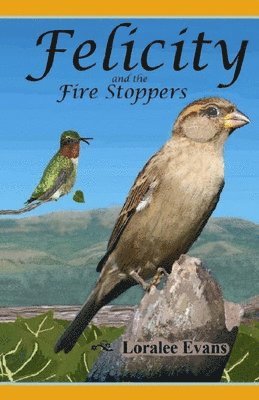 Felicity and the Fire Stoppers 1