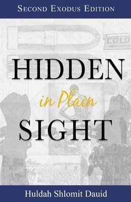 Hidden in Plain Sight 1
