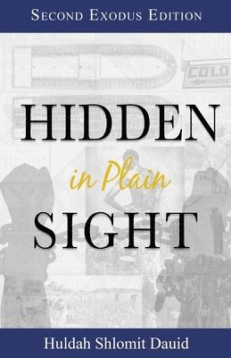 Huldah Dauid, Alizah Yisrael - Hidden in Plain Sight, Häftad