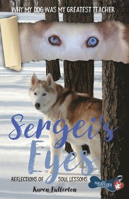 Sergei's Eyes: Reflections of Soul Lessons 1