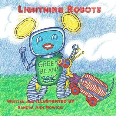 bokomslag Lightning Robots