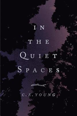 In the Quiet Spaces 1