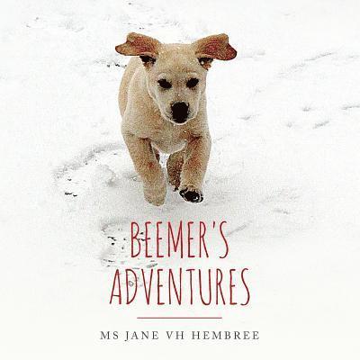 Beemer's Adventures 1