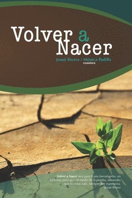 bokomslag Volver a Nacer