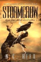 bokomslag Stormcrow