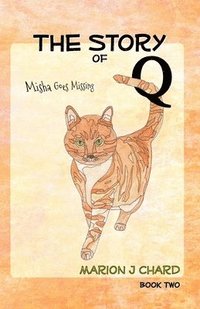 bokomslag The Story of Q - Misha Goes Missing
